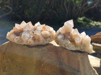 Natural Smokey Cactus Spirit Quartz Clusters x 4 From South Africa