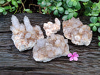 Natural Smokey Cactus Spirit Quartz Clusters x 4 From South Africa - Toprock Gemstones and Minerals 