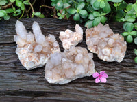 Natural Smokey Cactus Spirit Quartz Clusters x 4 From South Africa