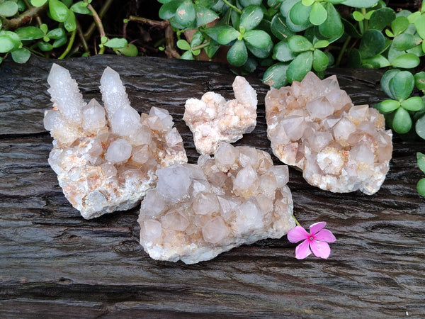 Natural Smokey Cactus Spirit Quartz Clusters x 4 From South Africa
