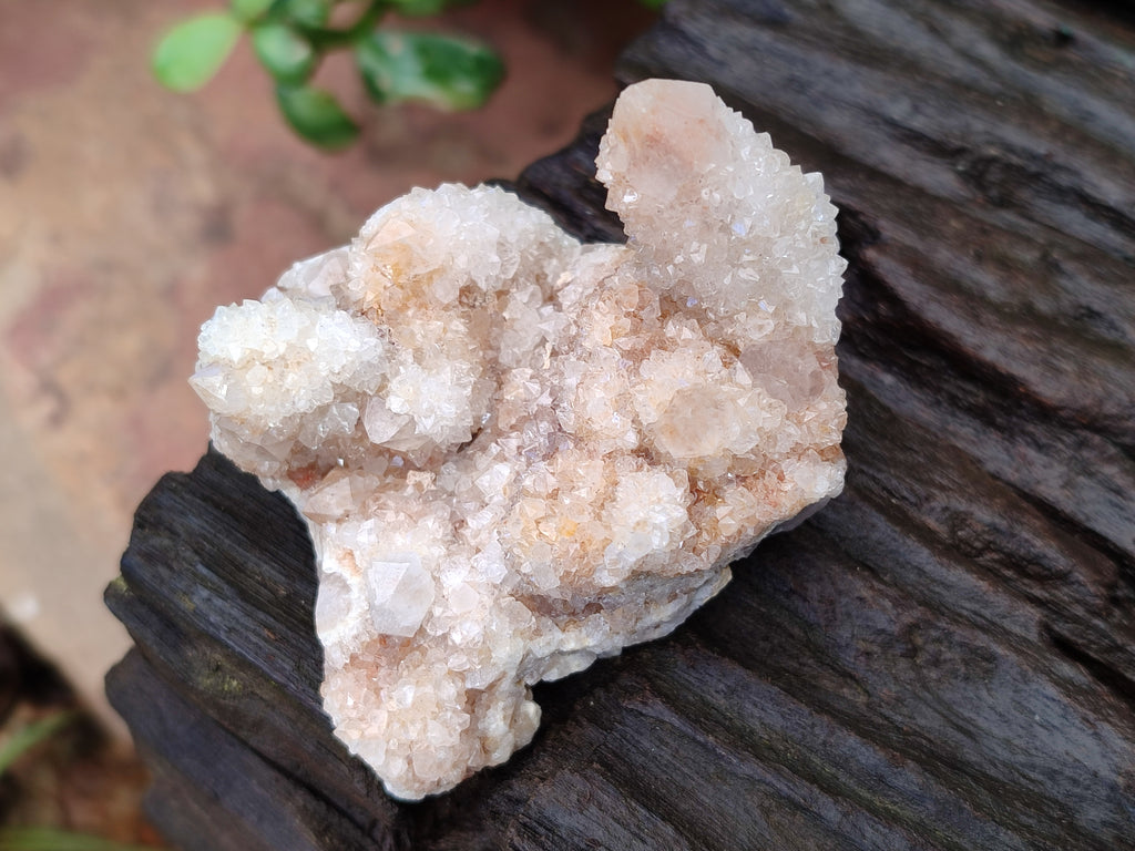 Natural Smokey Cactus Spirit Quartz Clusters x 4 From South Africa - Toprock Gemstones and Minerals 