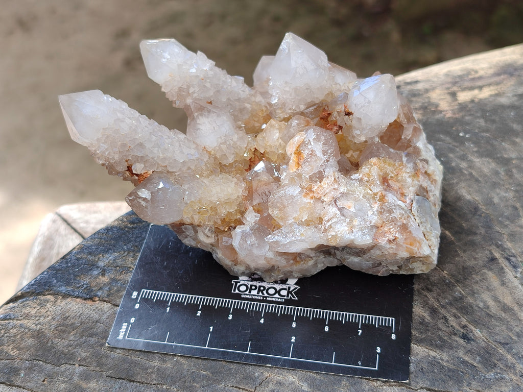 Natural Smokey Cactus Spirit Quartz Clusters x 4 From South Africa - Toprock Gemstones and Minerals 