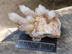 Natural Smokey Cactus Spirit Quartz Clusters x 4 From South Africa - Toprock Gemstones and Minerals 