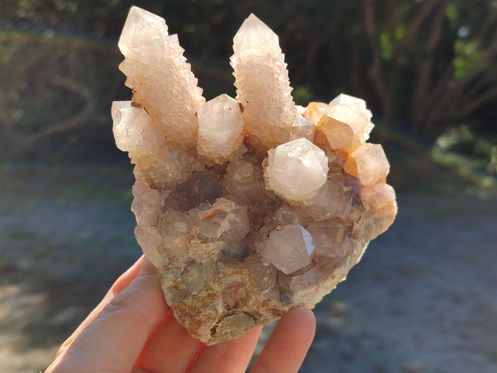 Natural Smokey Cactus Spirit Quartz Clusters x 4 From South Africa - Toprock Gemstones and Minerals 