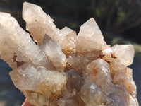 Natural Smokey Cactus Spirit Quartz Clusters x 4 From South Africa