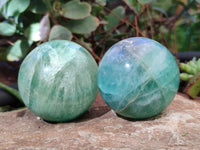 Polished Fluorescent Green Fluorite Spheres x 4 From Madagascar
