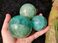 Polished Fluorescent Green Fluorite Spheres x 4 From Madagascar