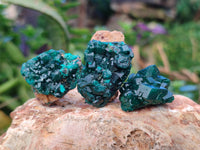 Natural Small Dioptase on Dolomite Matrix Specimens x 20 From Likasi, Congo