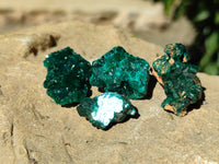Natural Small Dioptase on Dolomite Matrix Specimens x 20 From Likasi, Congo