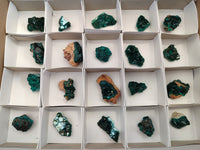 Natural Small Dioptase on Dolomite Matrix Specimens x 20 From Likasi, Congo