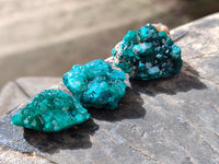 Natural Small Dioptase on Dolomite Matrix Specimens x 20 From Likasi, Congo