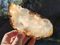 Polished Banded Agate Slices x 5 From Madagascar