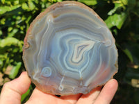 Polished Banded Agate Slices x 5 From Madagascar
