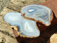 Polished Banded Agate Slices x 5 From Madagascar