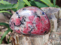 Polished Rhodonite Free Forms x 6 From Rhusinga, Zimbabwe
