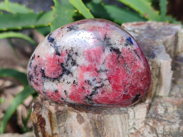 Polished Rhodonite Free Forms x 6 From Rhusinga, Zimbabwe