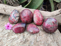 Polished Rhodonite Free Forms x 6 From Rhusinga, Zimbabwe