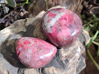 Polished Rhodonite Free Forms x 6 From Rhusinga, Zimbabwe