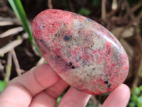 Polished Rhodonite Free Forms x 6 From Rhusinga, Zimbabwe