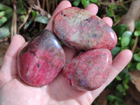 Polished Rhodonite Free Forms x 6 From Rhusinga, Zimbabwe