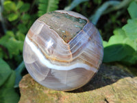 Polished Red Sashe River Agate Sphere's x 4 From Zimbabwe