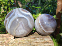 Polished Red Sashe River Agate Sphere's x 4 From Zimbabwe