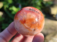 Polished Red Sashe River Agate Sphere's x 4 From Zimbabwe
