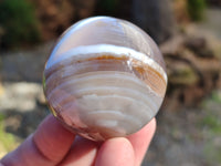Polished Red Sashe River Agate Sphere's x 4 From Zimbabwe