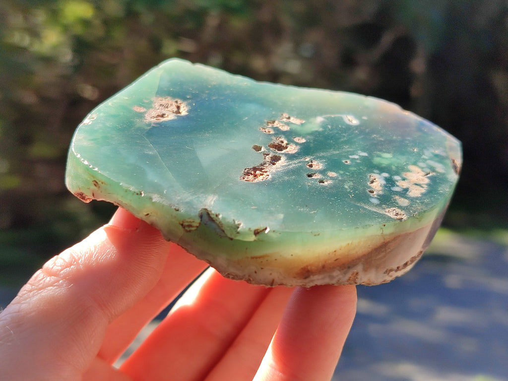 Polished On One Side Emerald Mtorolite Plates x 4 From Mutorashanga, Zimbabwe - Toprock Gemstones and Minerals 