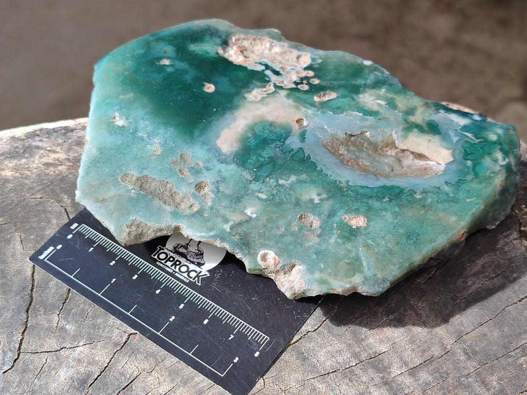 Polished On One Side Emerald Mtorolite Plates x 4 From Mutorashanga, Zimbabwe - Toprock Gemstones and Minerals 