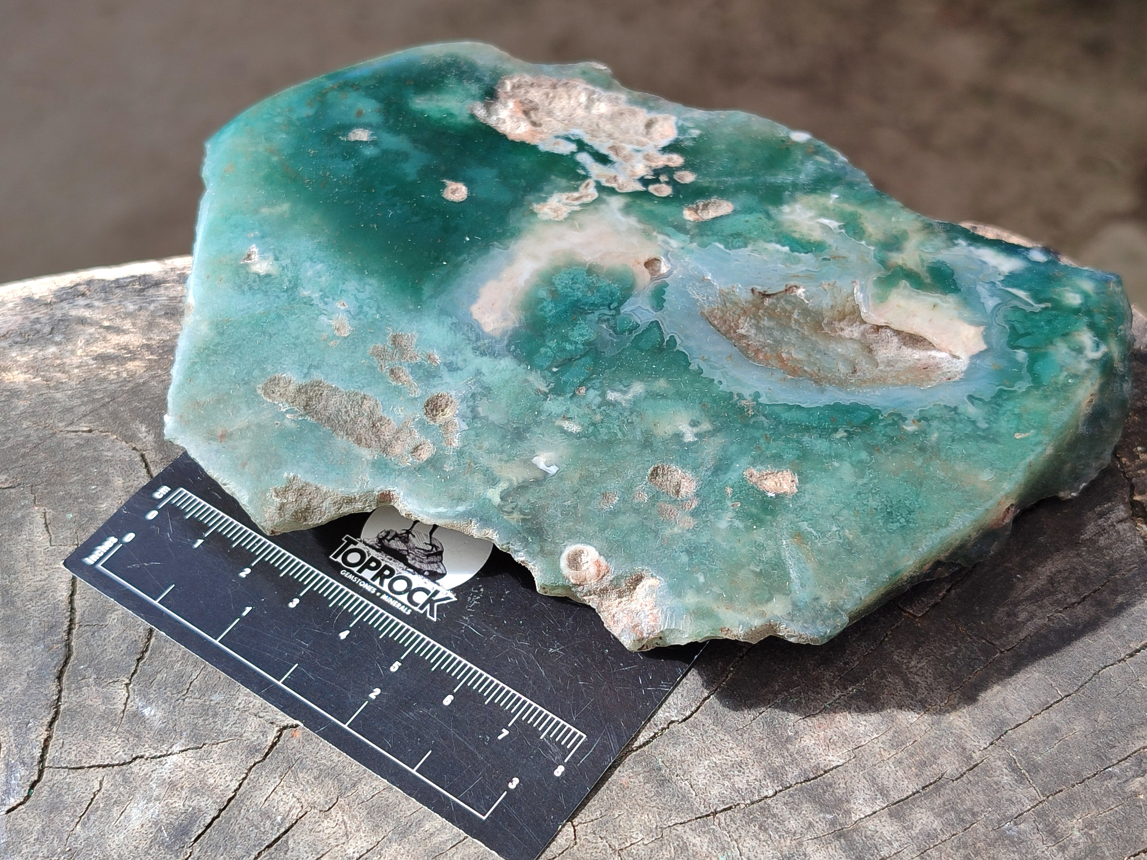 Polished On One Side Emerald Mtorolite Plates x 4 From Mutorashanga, Zimbabwe - Toprock Gemstones and Minerals 