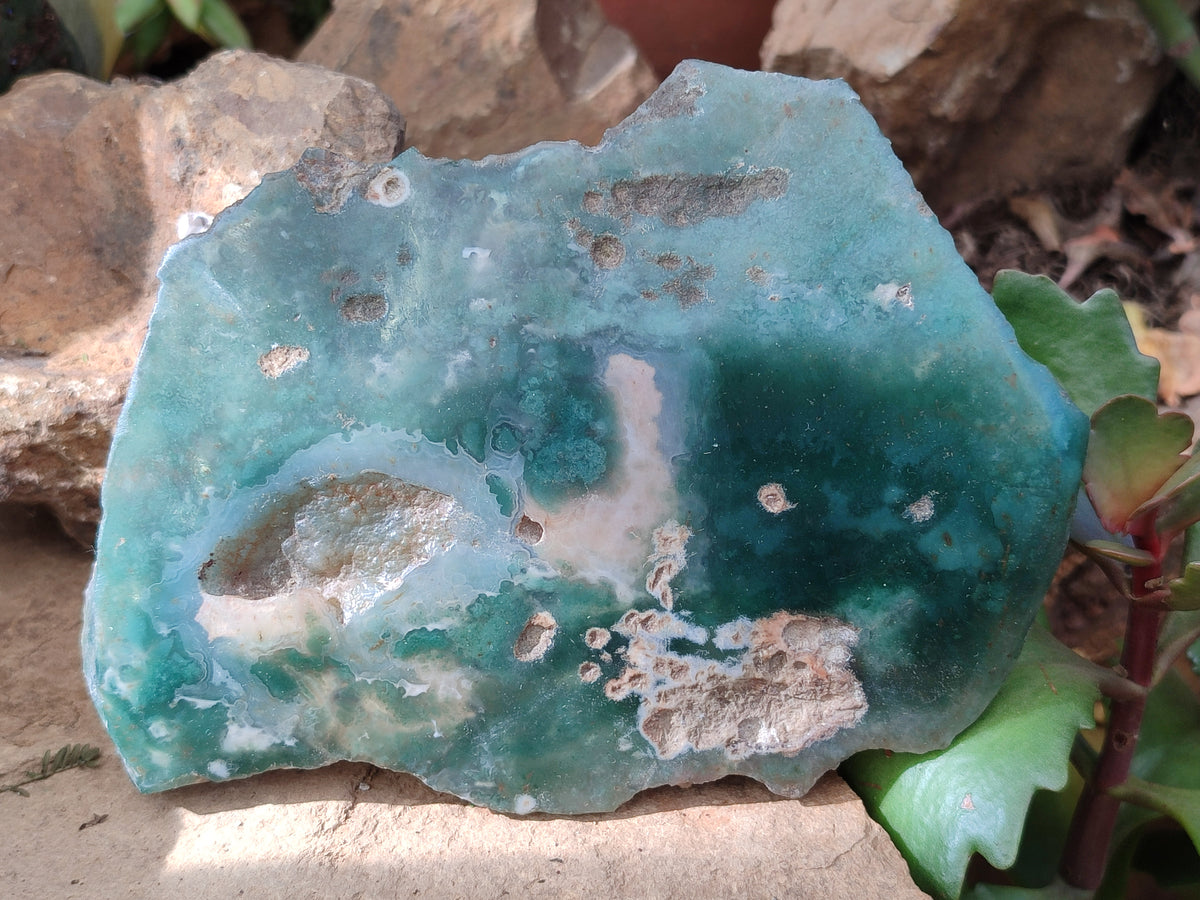 Polished On One Side Emerald Mtorolite Plates x 4 From Mutorashanga, Zimbabwe - Toprock Gemstones and Minerals 
