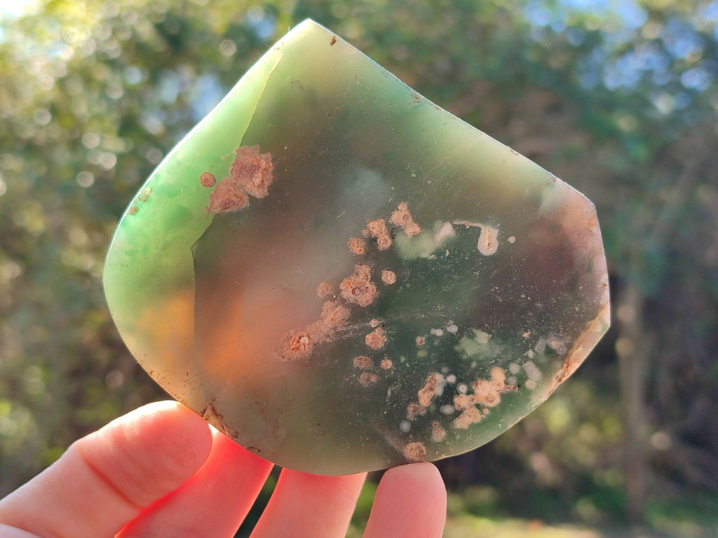 Polished On One Side Emerald Mtorolite Plates x 4 From Mutorashanga, Zimbabwe - Toprock Gemstones and Minerals 