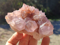 Natural Ametrine Cactus Spirit Quartz Clusters x 5 From South Africa