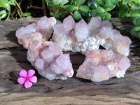 Natural Ametrine Cactus Spirit Quartz Clusters x 5 From South Africa