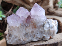 Natural Ametrine Cactus Spirit Quartz Clusters x 5 From South Africa