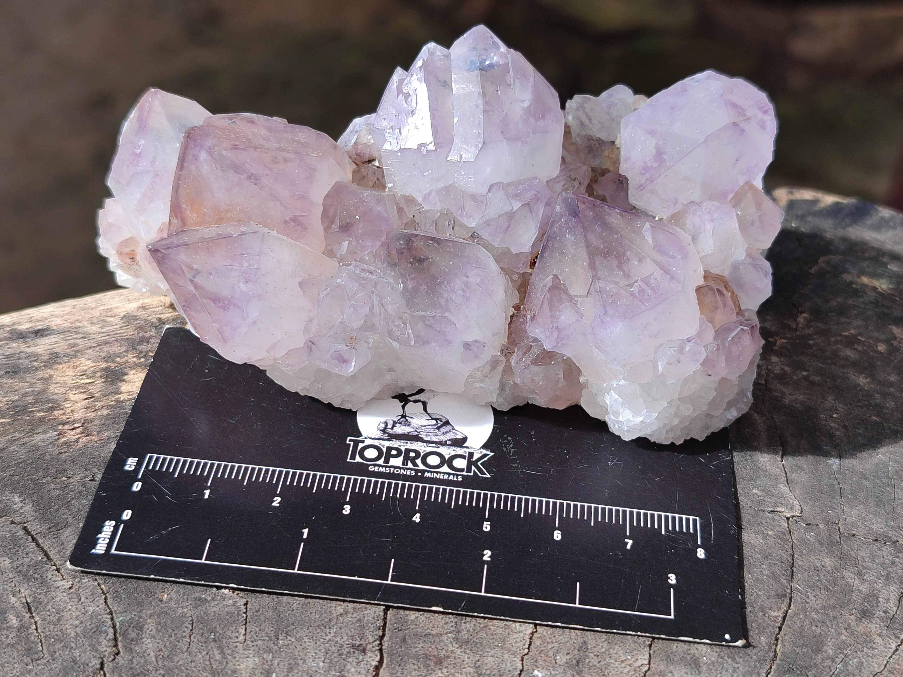 Natural Ametrine Cactus Spirit Quartz Clusters x 5 From South Africa - Toprock Gemstones and Minerals 