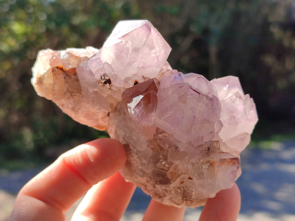 Natural Ametrine Cactus Spirit Quartz Clusters x 5 From South Africa - Toprock Gemstones and Minerals 