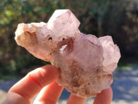 Natural Ametrine Cactus Spirit Quartz Clusters x 5 From South Africa