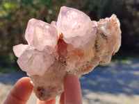 Natural Ametrine Cactus Spirit Quartz Clusters x 5 From South Africa