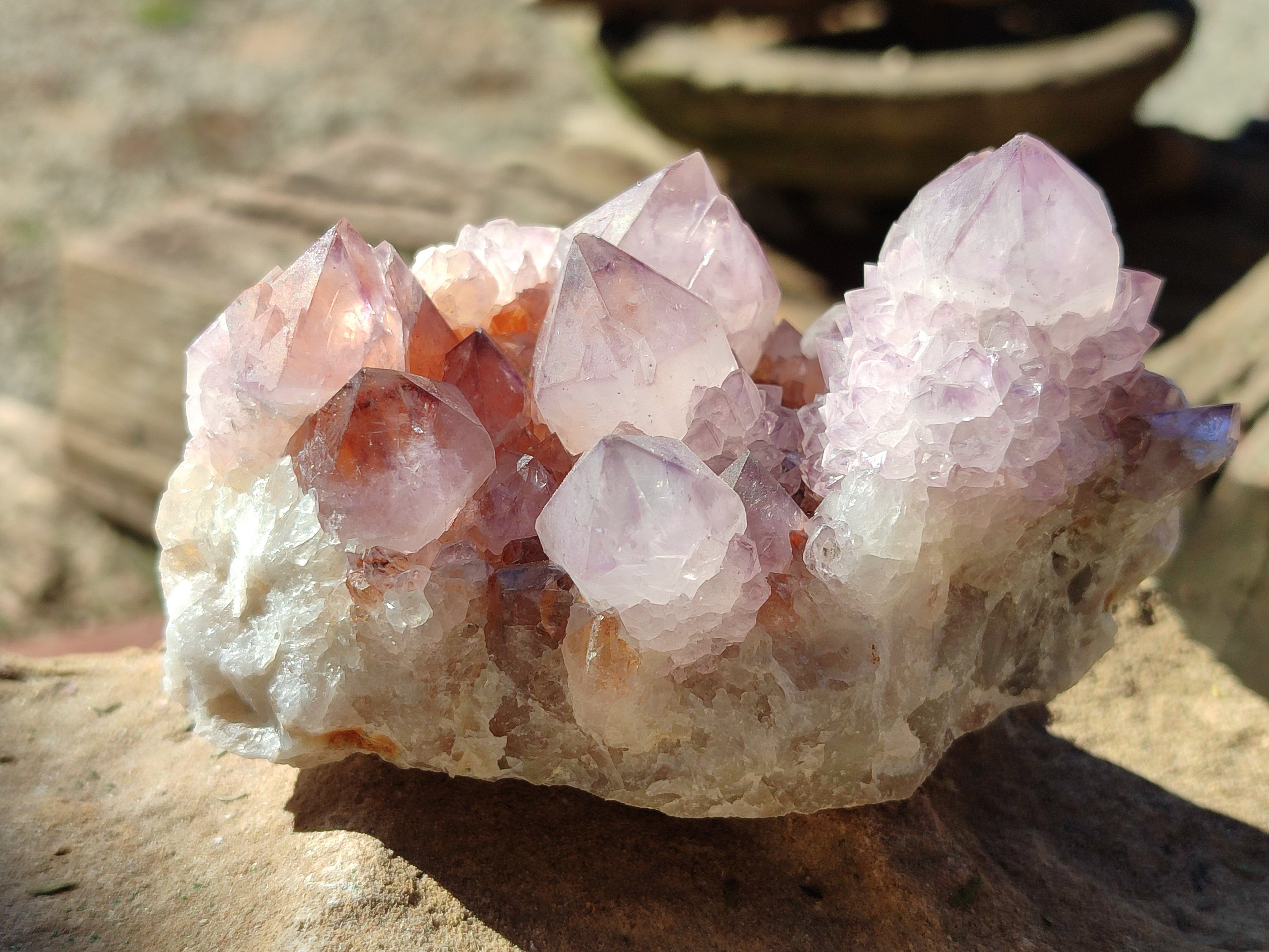 Natural Ametrine Cactus Spirit Quartz Clusters x 5 From South Africa - Toprock Gemstones and Minerals 