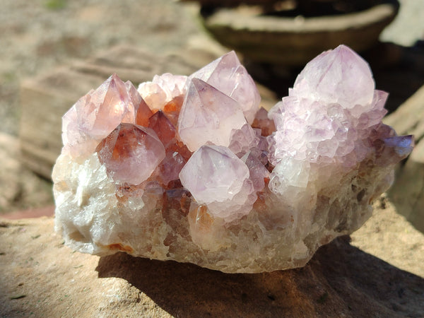 Natural Ametrine Cactus Spirit Quartz Clusters x 5 From South Africa