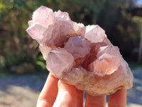 Natural Ametrine Cactus Spirit Quartz Clusters x 5 From South Africa