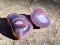 Polished On One Side Red Sashe River Agate Nodules x 20 From Zimbabwe