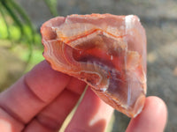 Polished On One Side Red Sashe River Agate Nodules x 20 From Zimbabwe