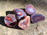 Polished On One Side Red Sashe River Agate Nodules x 20 From Zimbabwe