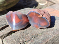 Polished On One Side Red Sashe River Agate Nodules x 20 From Zimbabwe