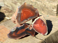 Polished On One Side Red Sashe River Agate Nodules x 20 From Zimbabwe