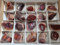Polished On One Side Red Sashe River Agate Nodules x 20 From Zimbabwe