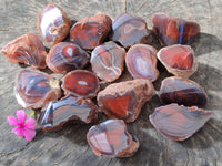 Polished On One Side Red Sashe River Agate Nodules x 20 From Zimbabwe